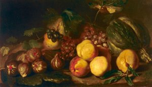 Still-Life of Fruit